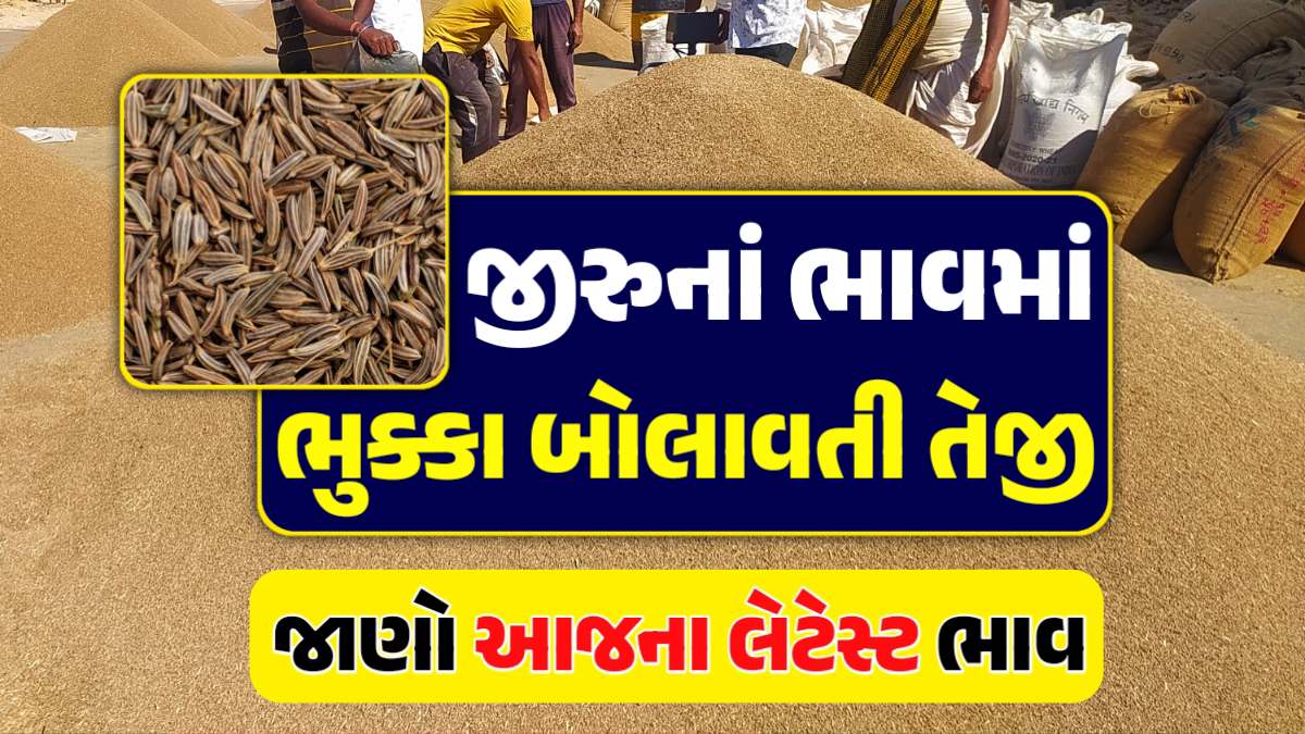 જીરું ભાવ