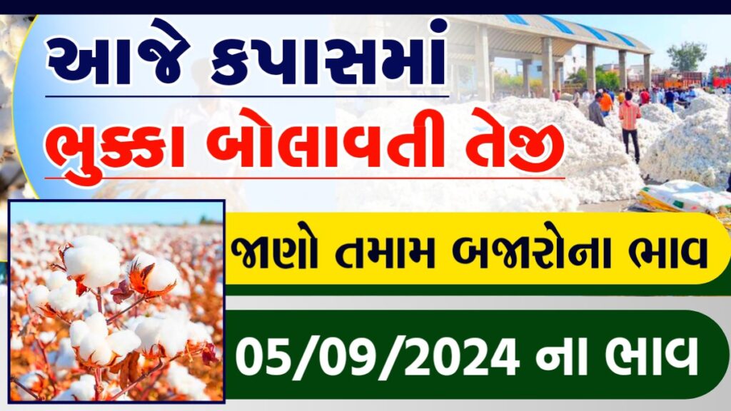 cotton price today