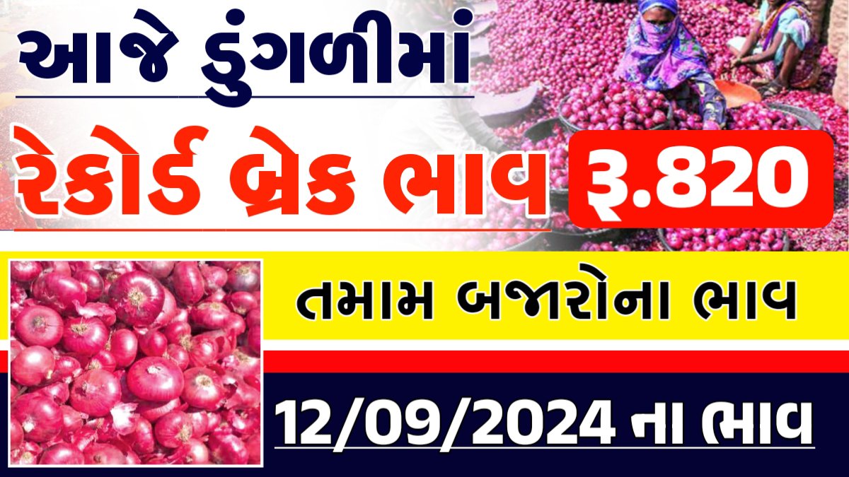 onion price in gondal