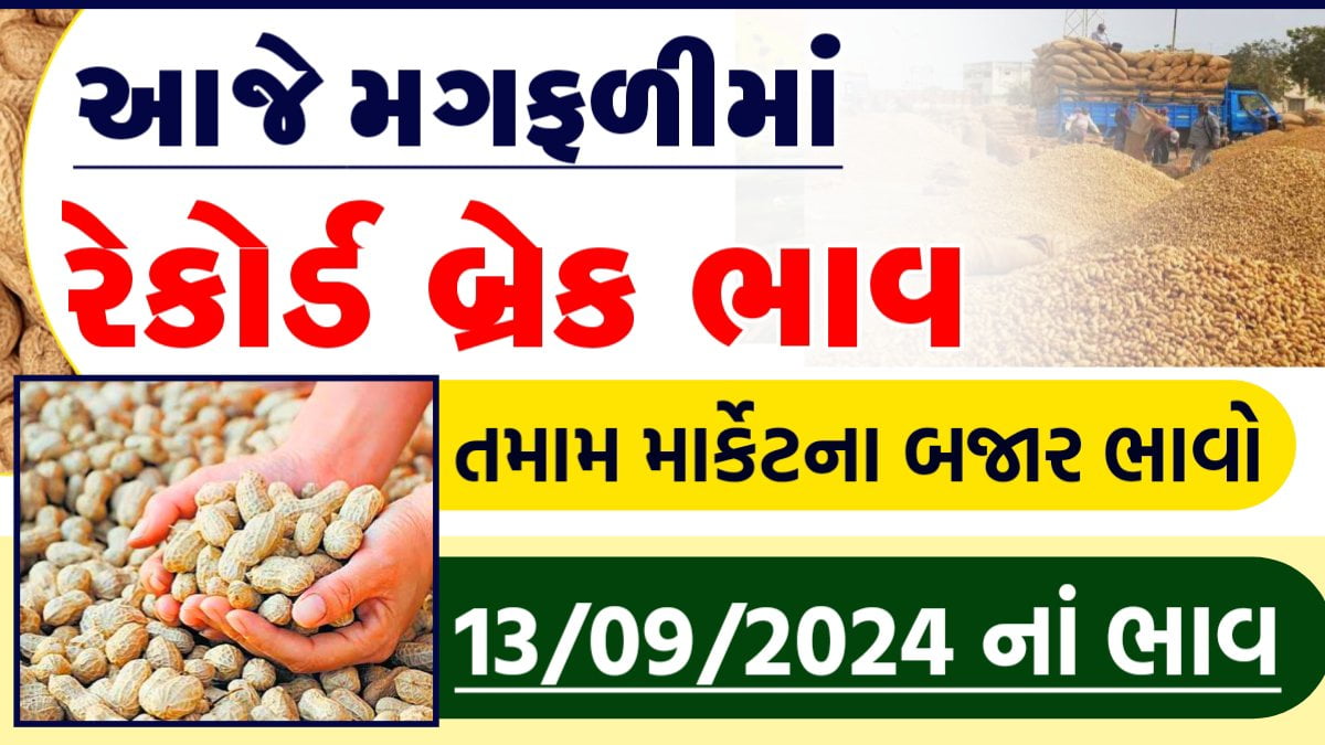 magfali bhav