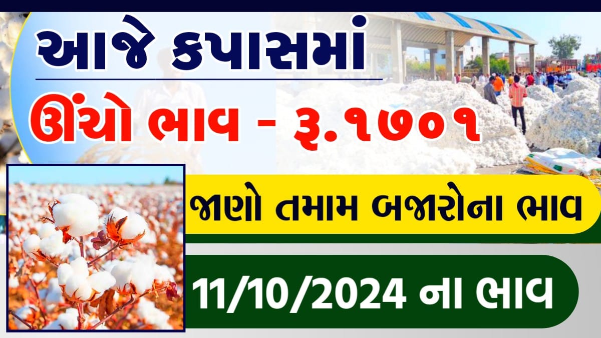કપાસ વાયદો