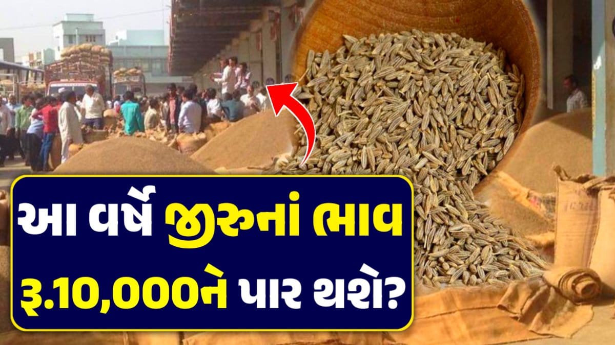 જીરું વાયદા બજાર