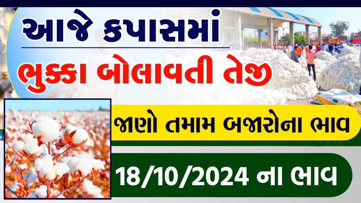 cotton price gondal yard