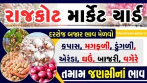 APMC Rajkot Market Yard Rajkot apmc Rajkot apmc bajar bhav Rajkot aaj na bajar bhav bajar bhav Rajkot aaj na