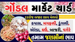 APMC Gondal Market Yard \ ગોંડલ આજના બજાર ભાવ | Gondal APMC | ગોંડલ માર્કેટ યાર્ડ | BajarBhav