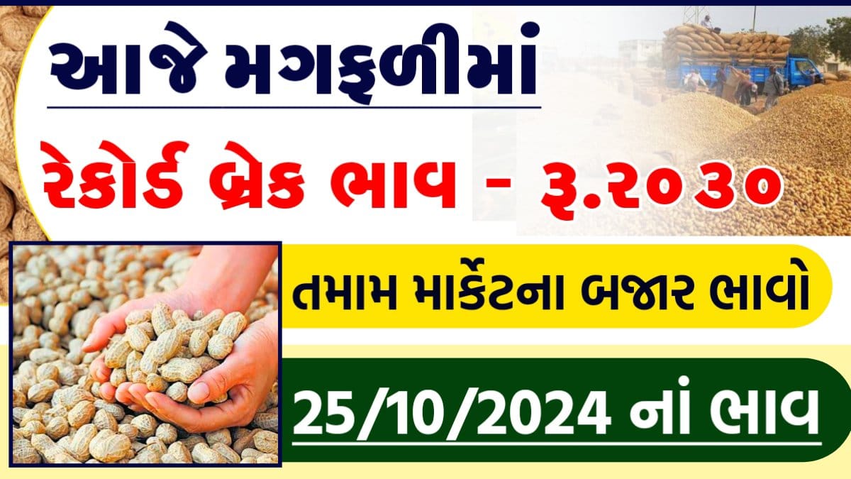 જાડી મગફળીના ભાવ