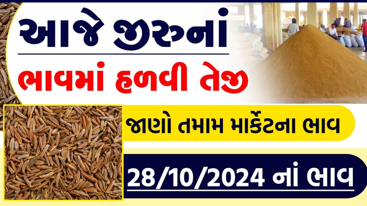 જીરું બજાર ભાવ