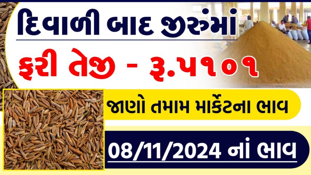 jeeru 1 kg price
