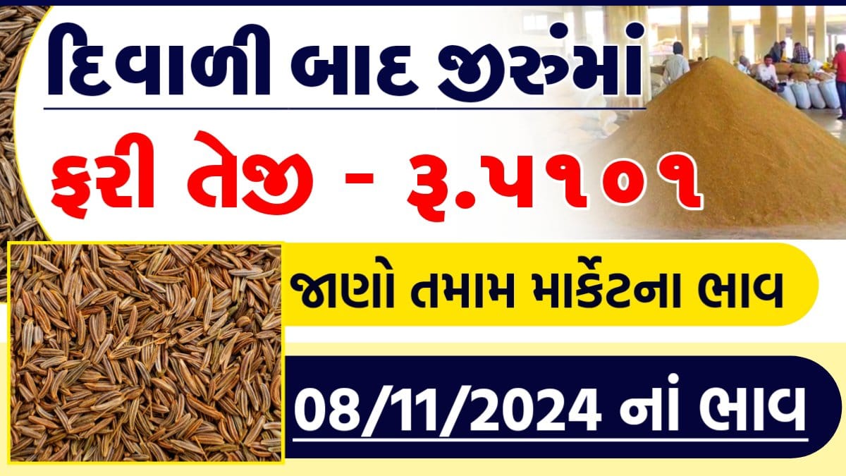 jeeru 1 kg price