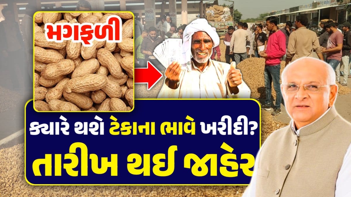 મગફળીના ટેકાના ભાવ