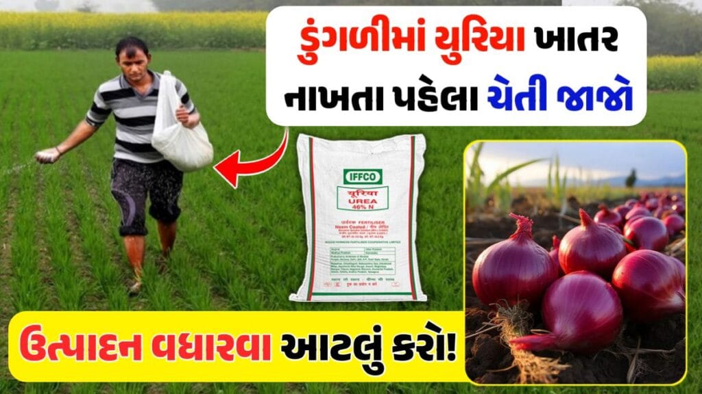 onion farming