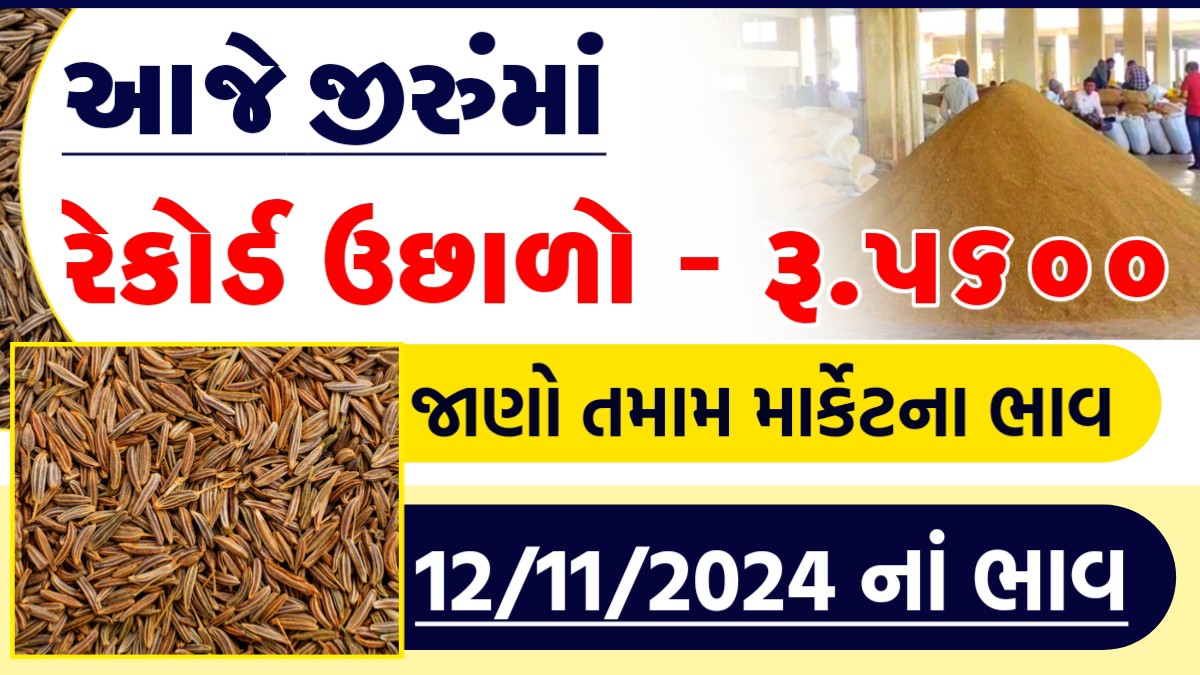jiru bhav rajkot