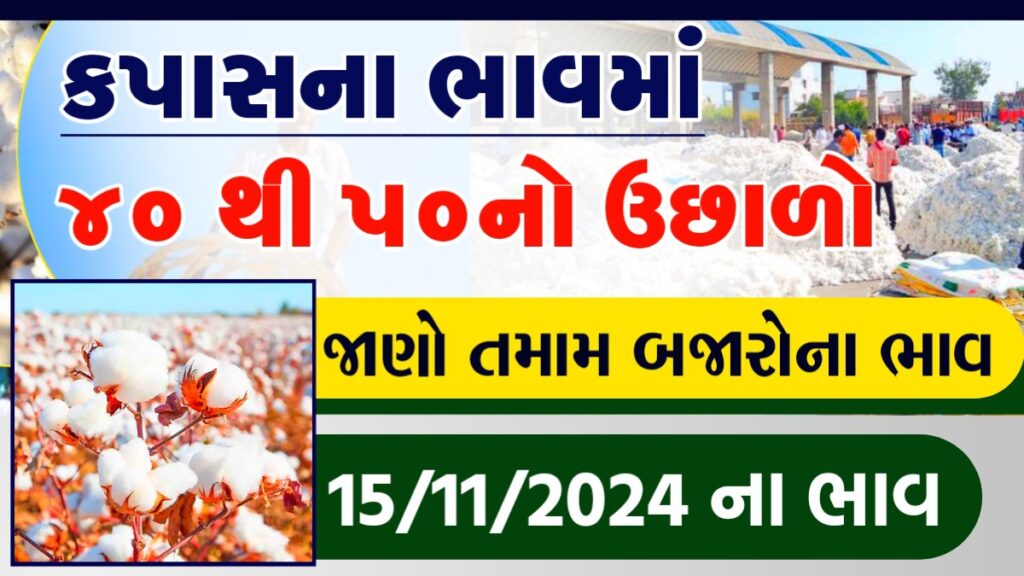 kapas na bhav amreli