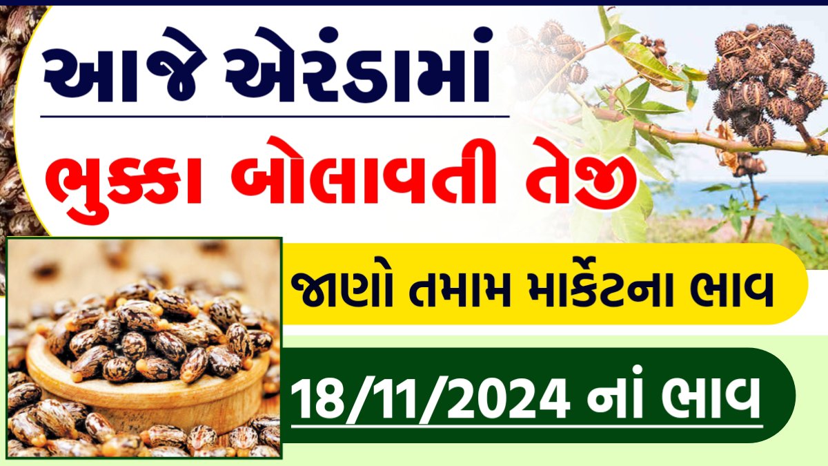 એરંડાના ભાવ આજનો