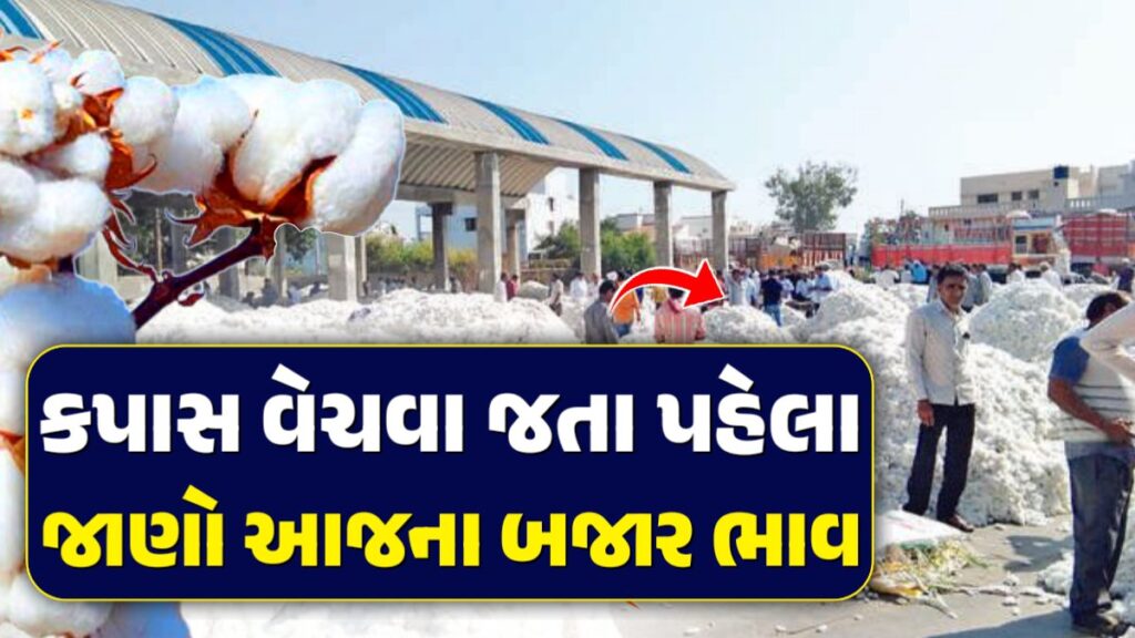 આજના કપાસ ભાવ