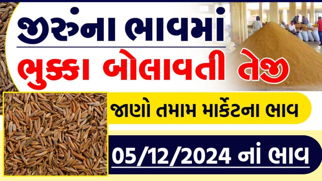 jeera price in rajkot
