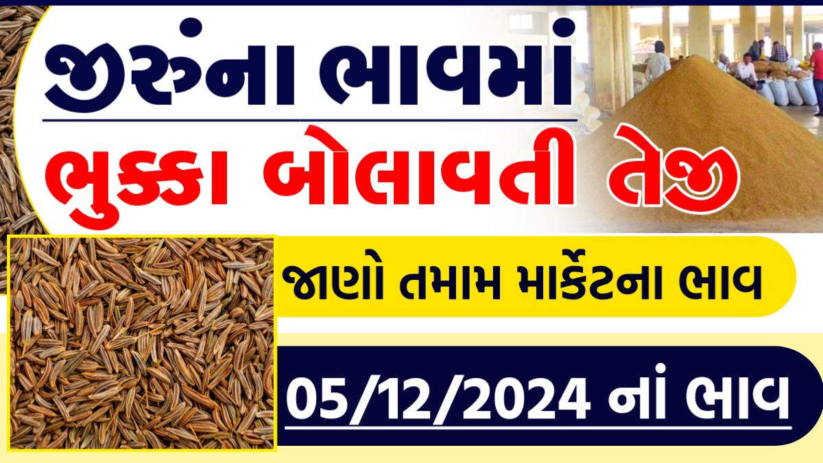 jeera price in rajkot