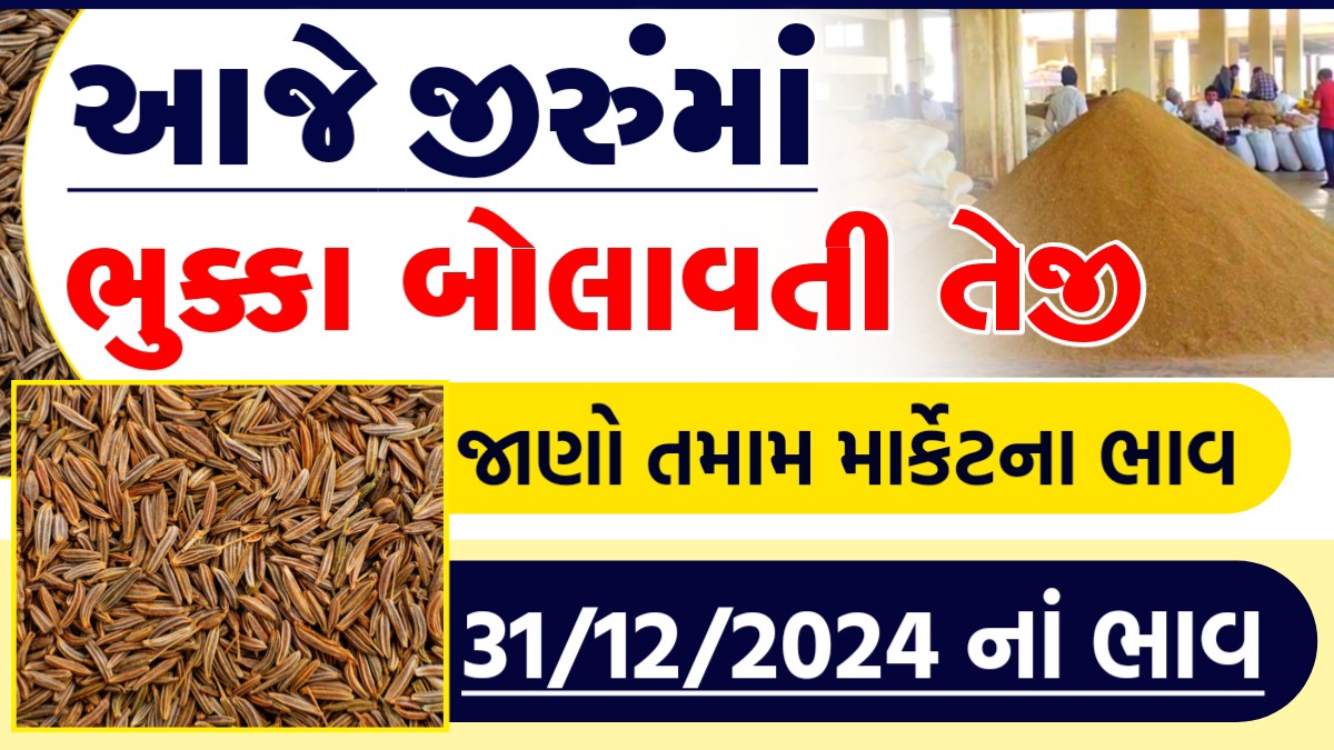 jeera price in unjha